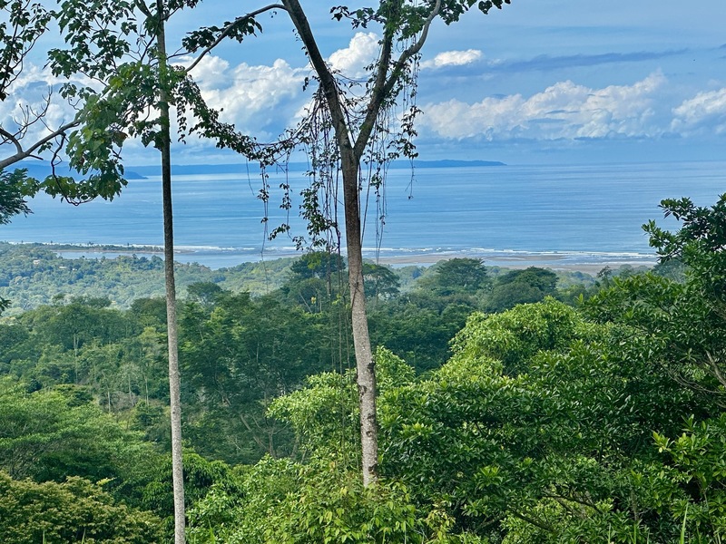 Land For Sale in Ojochal Costa Rica